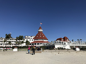 IHSI 2019 San Diego, USA